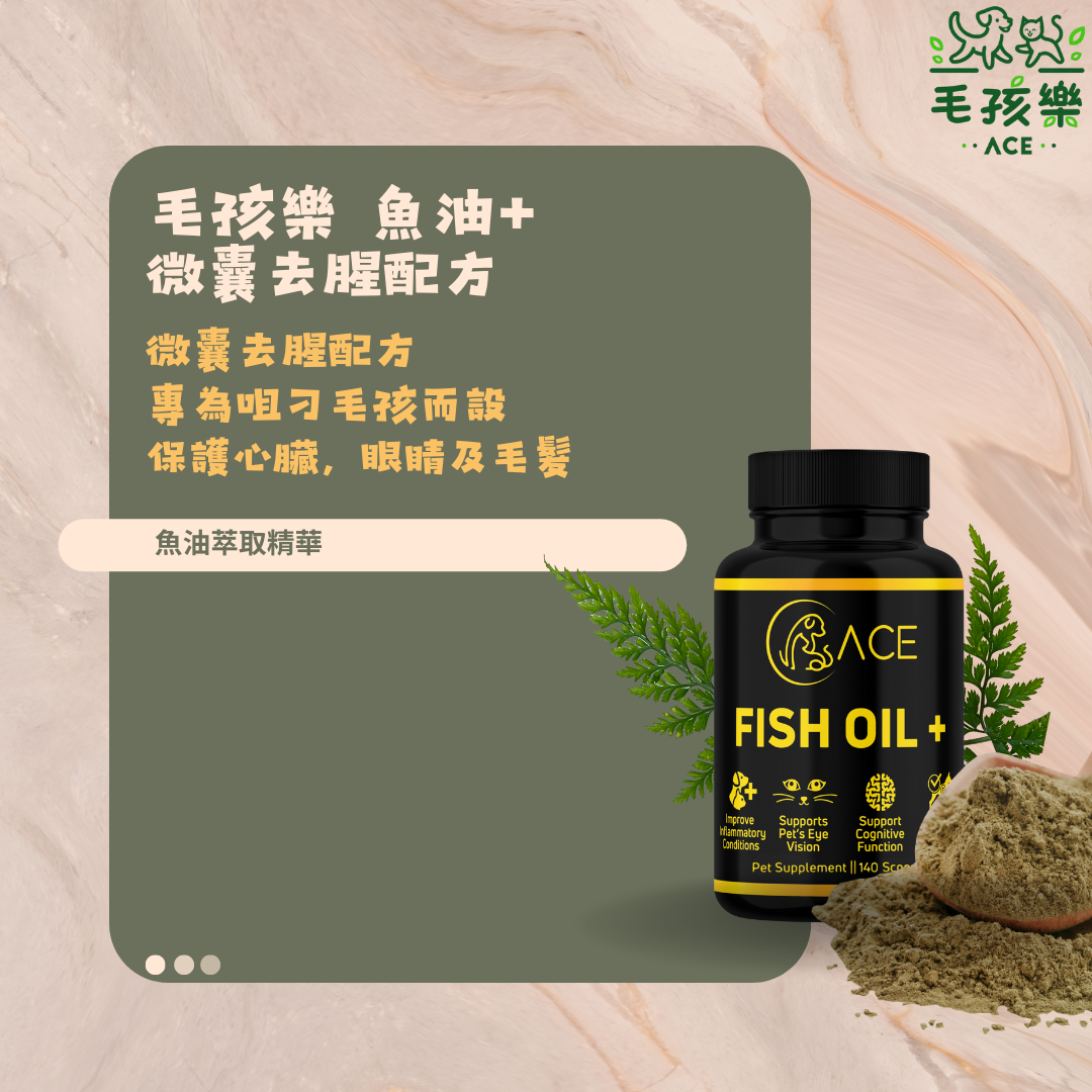 魚油 + (Fish Oil +) - 心臟保護，眼晴護理及毛髮亮麗配方